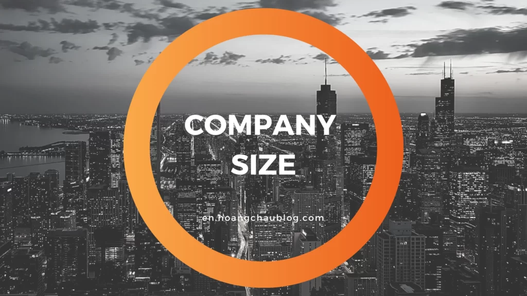 company size